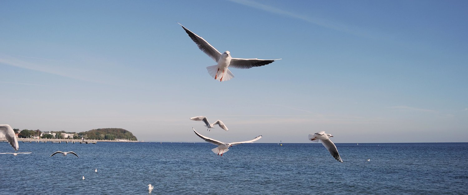 Ferienwohnungen und Ferienhäuser in Niendorf