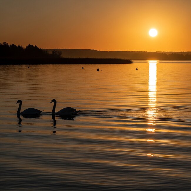 Sonnenuntergang am Steinhuder Meer
