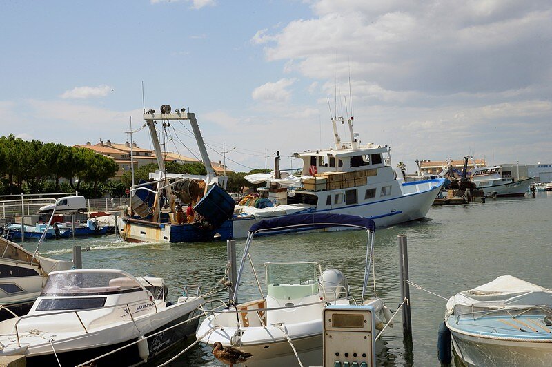 Port de pêche