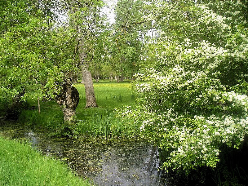 Marais Poitevin
