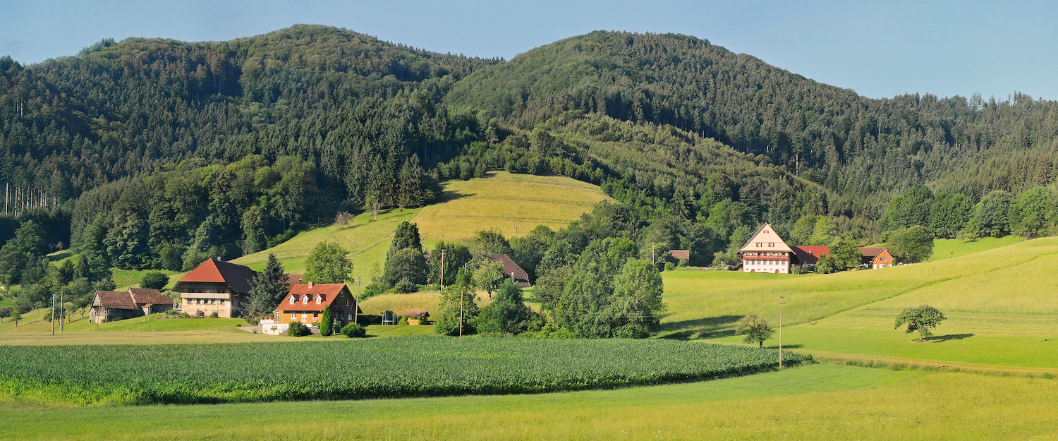 Ferienwohnungen und Ferienhäuser in Menzenschwand