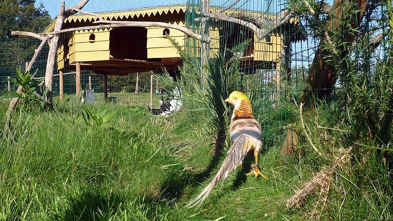 Animalia Parc