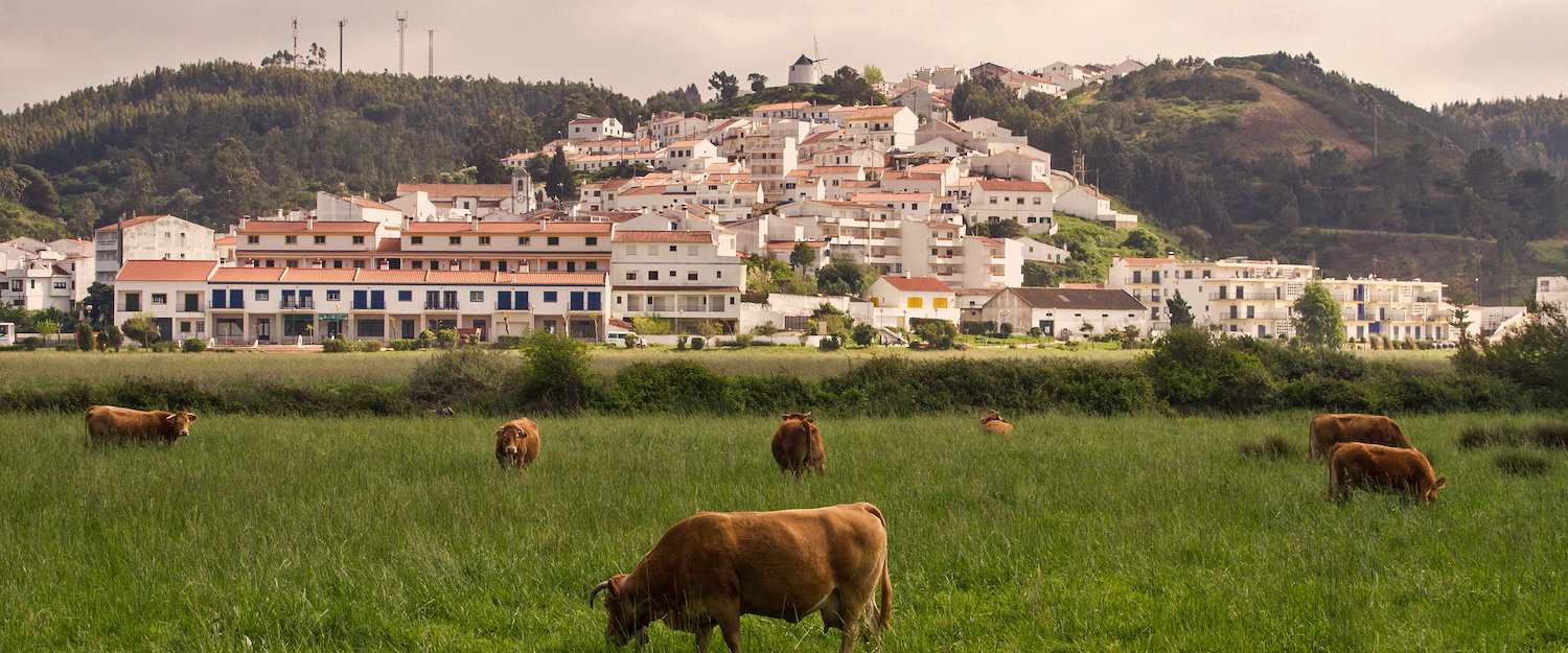 Apartamentos e Casas de Férias em Odeceixe