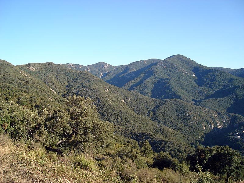 La Vallée Heureuse à Sorède