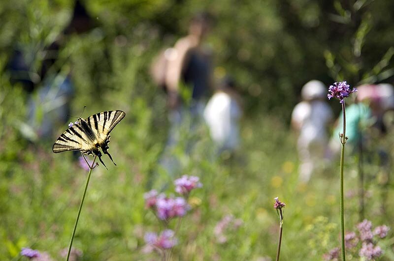 Le Jardin des papillons Le Jardin des papillons