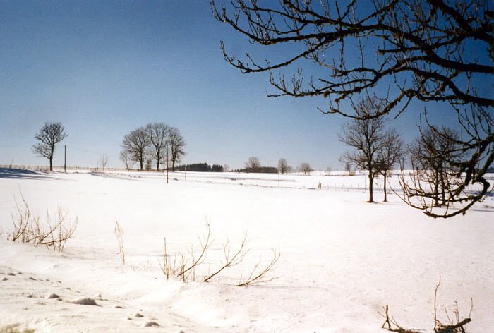 Paysage hivernal - La Chaise-Dieu