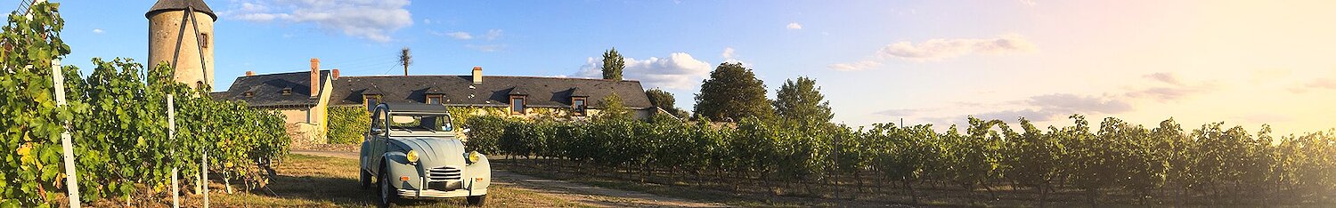 Chambres d'hôtes situées dans un château ou un manoir dans la Vienne