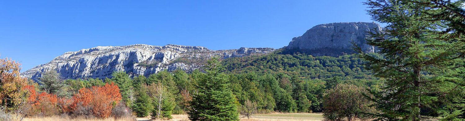 Chambres d'hôtes dans le Parc naturel régional de la Sainte-Baume