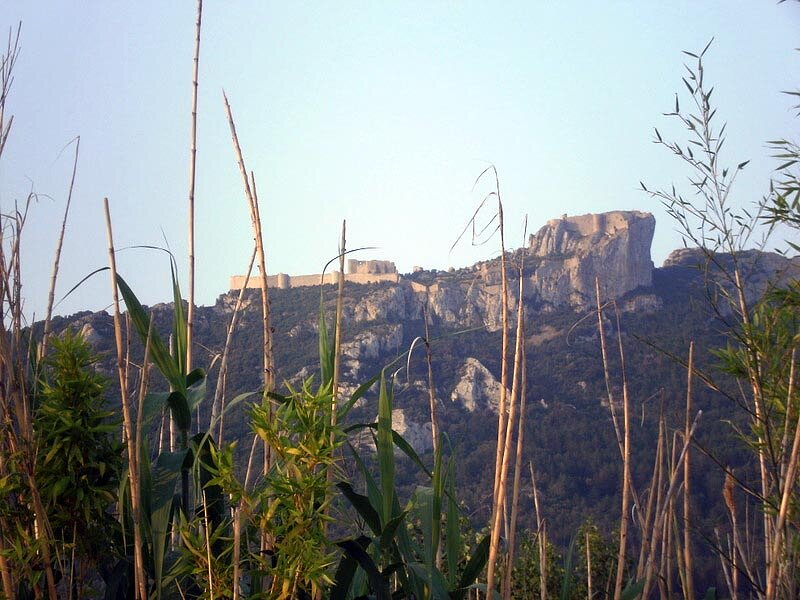 Château cathare de Peyrepertuse Château cathare de Peyrepertuse