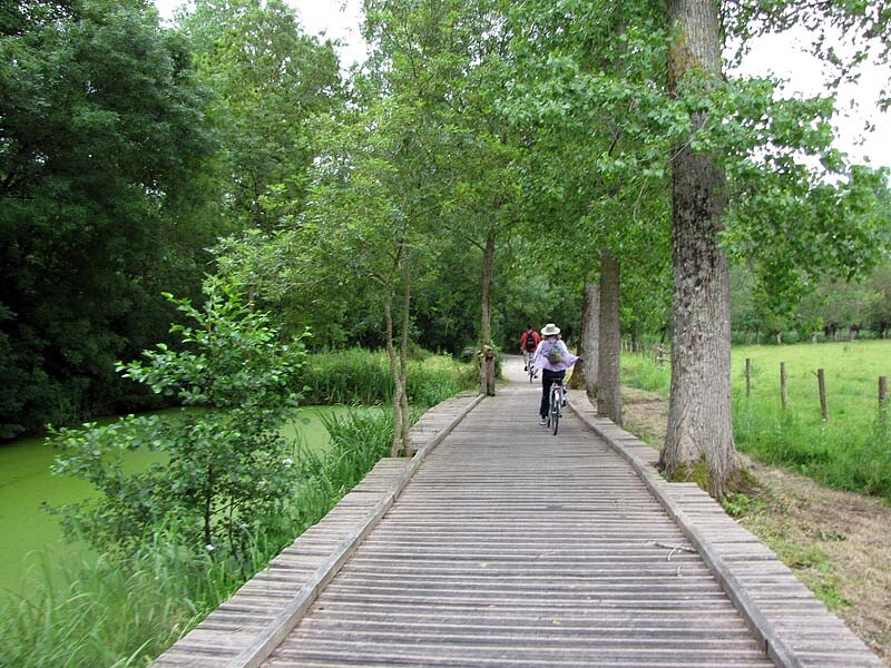 Marais Poitevin
