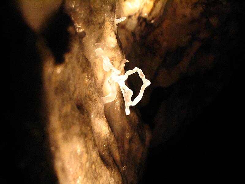 Grotte de Lombrives - La boucle Grotte de Lombrives - La boucle