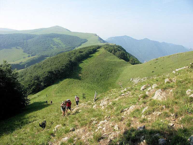 Plateau d'Ambel