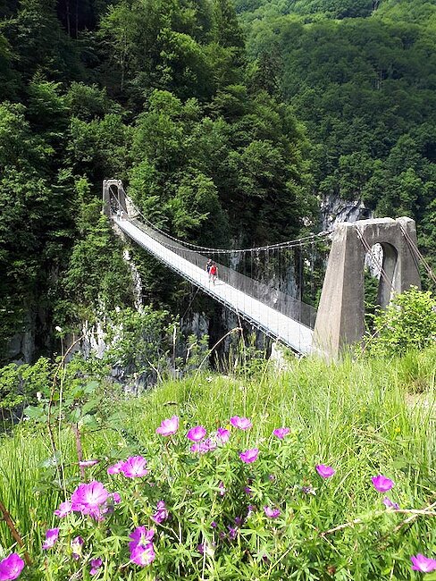 La Passerelle d'Holzarté