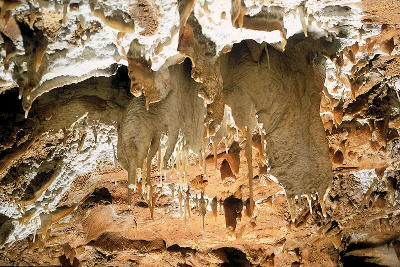 Parc et Grotte de la Draye Blanche