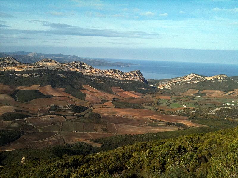 Vignobles de Patrimonio