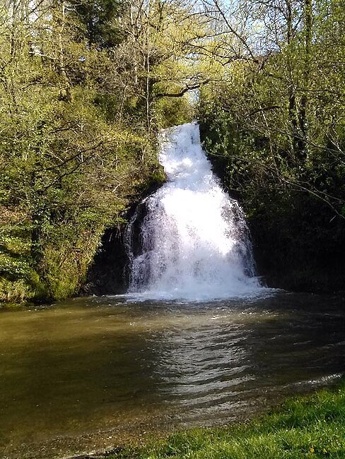 Cascade du Saut de la Truite