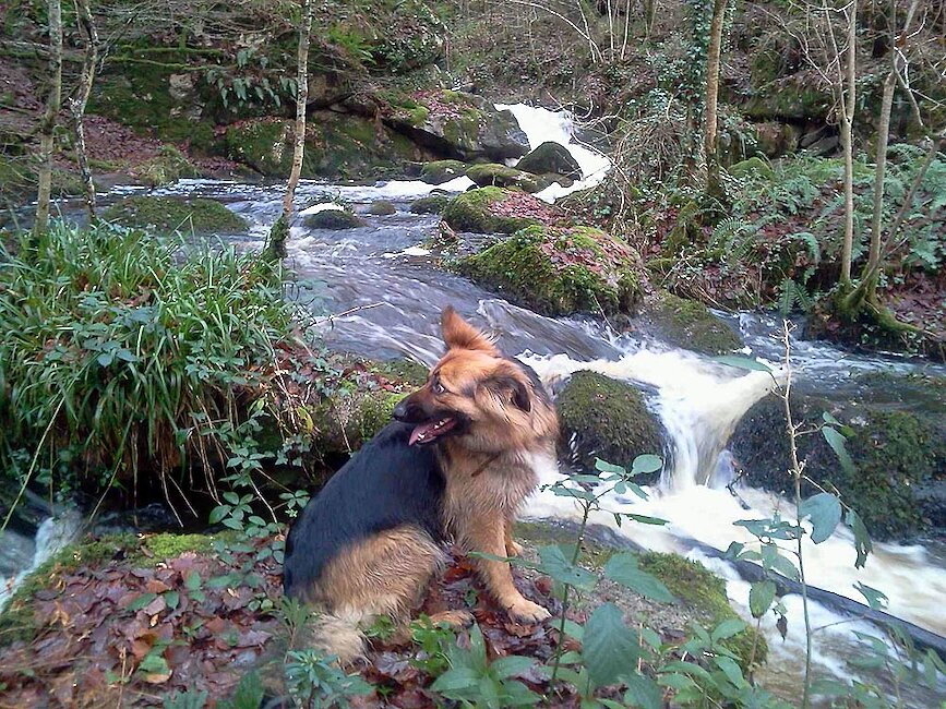 Gorges du Corong