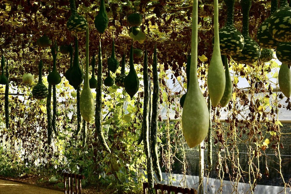 Le Potager Extraordinaire