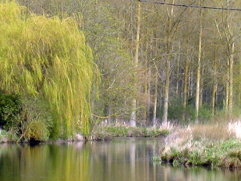 Marais des Moines