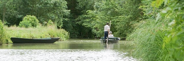 Parc ornithologique Les Oiseaux du Marais Poitevin