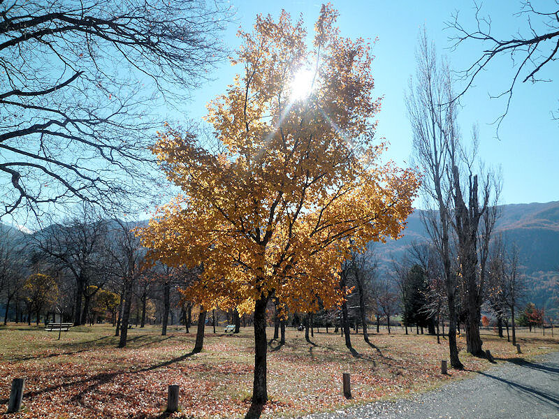 Le parc Le parc