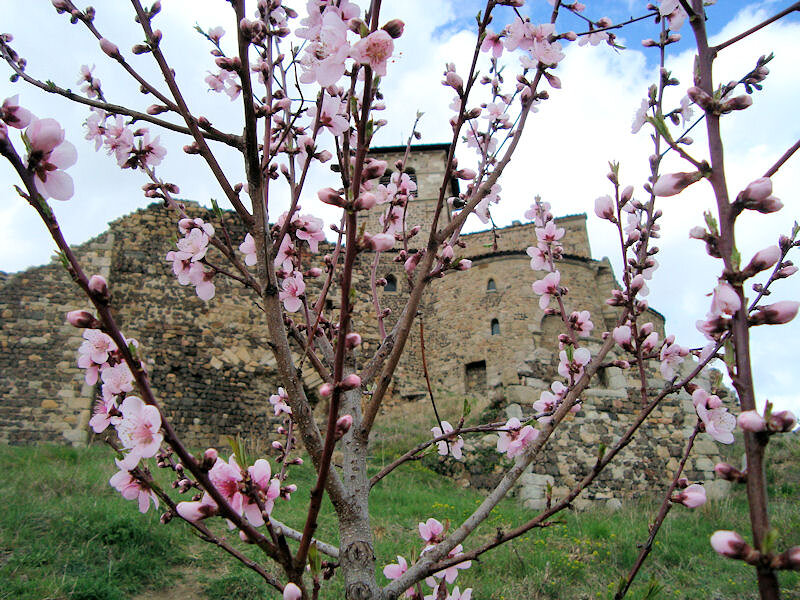 Prieuré de Saint-Romain le Puy Prieuré de Saint-Romain le Puy