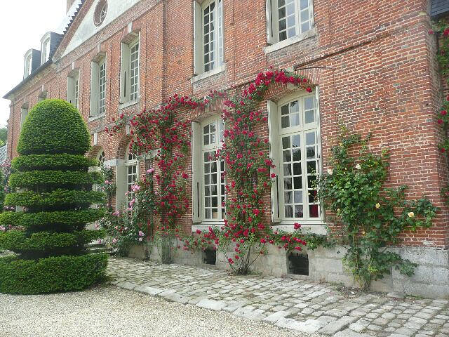 Roseraie du Château de Mesnil Geoffroy