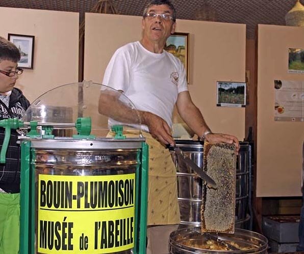 Musée vivant de l'Abeille d'Opale