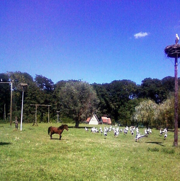 Parc Eiblen