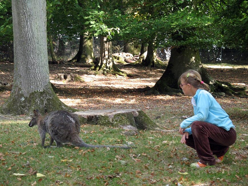 Parc zoologique de Clères
