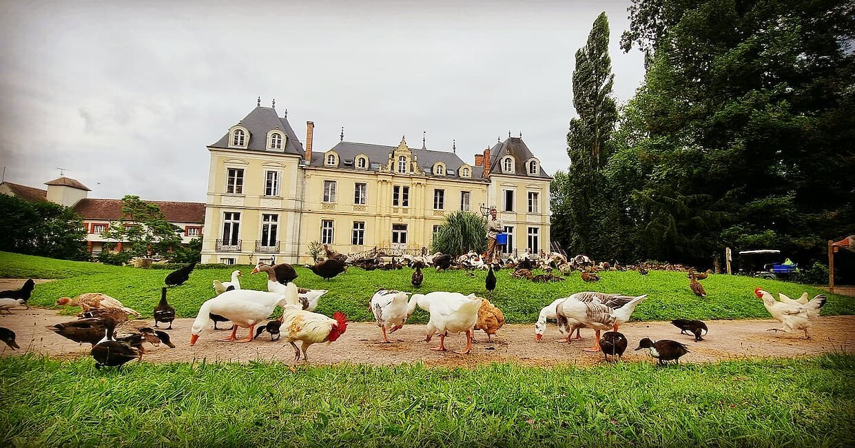Ferme pédagogique - Domaine de Ouézy