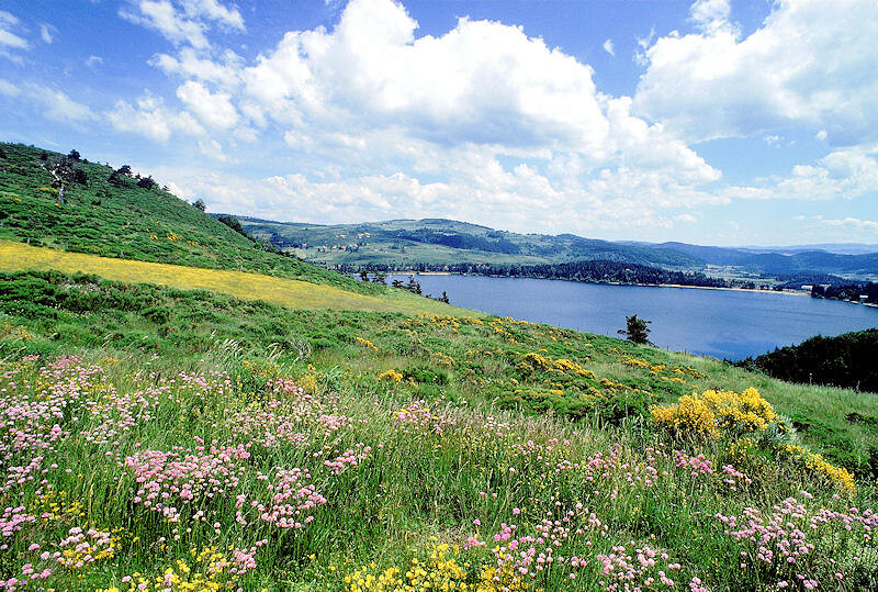 Lac d'Issarlès