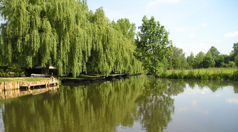 Grand Port du Vanneau