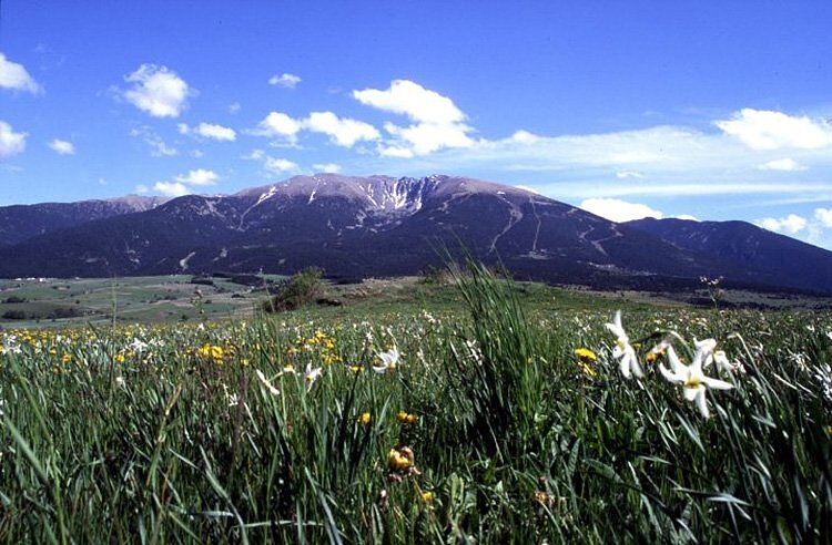 Cambre d'Aze - Font Romeu Cambre d'Aze - Font Romeu