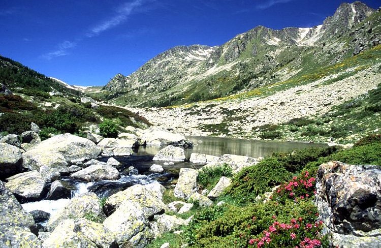 Rivière de montagne - Font Romeu Rivière de montagne - Font Romeu
