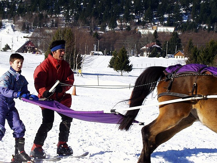 Ski joring en double - La Feclaz Ski joring en double - La Feclaz