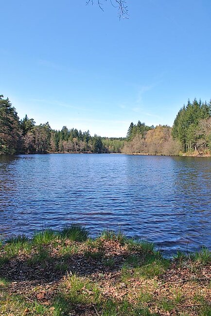 Etang de Laborde