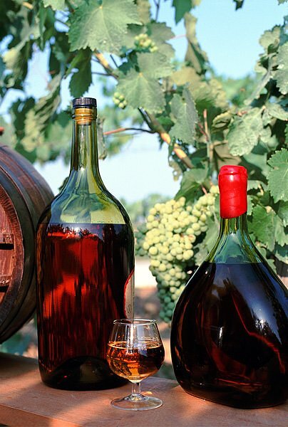 Bouteilles d'Armagnac - Gers
