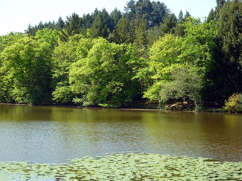 Arborétum de Pézanin