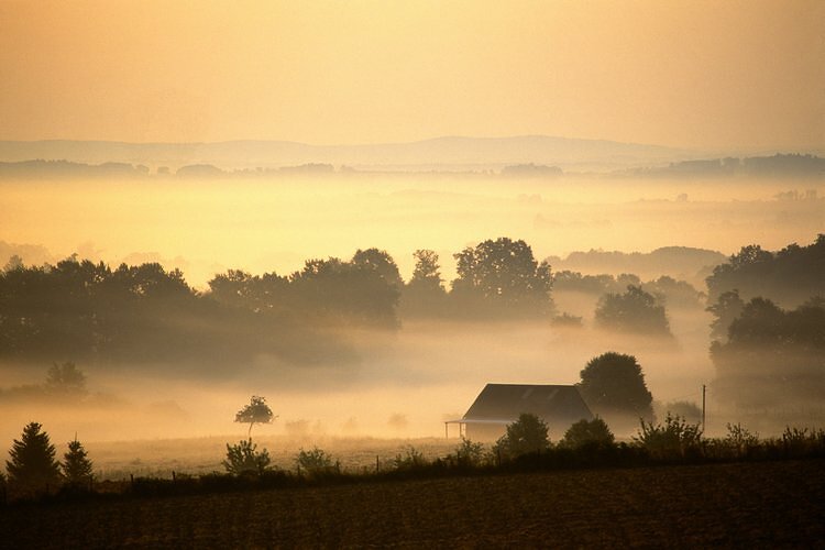 Village dans le brouillard - Bourgogne Village dans le brouillard - Bourgogne