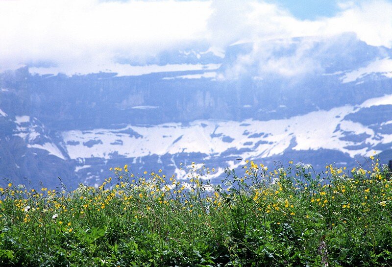 Cauterets