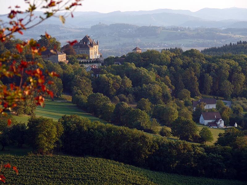 Château de Frontenay