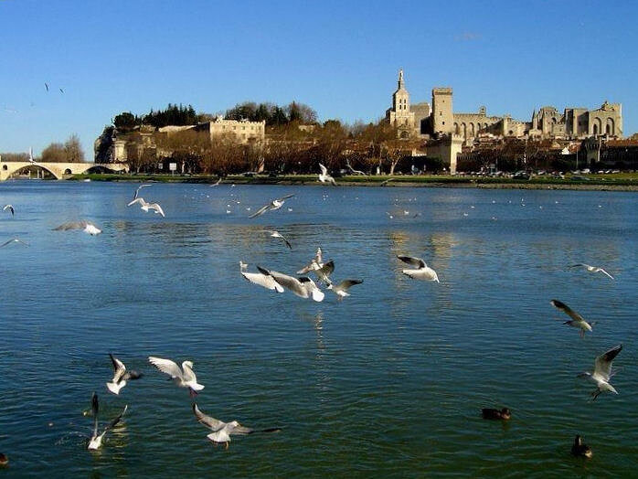 Palais des Papes Palais des Papes