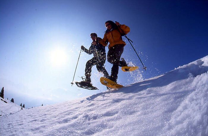 Les Houches