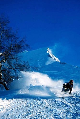 Les Houches