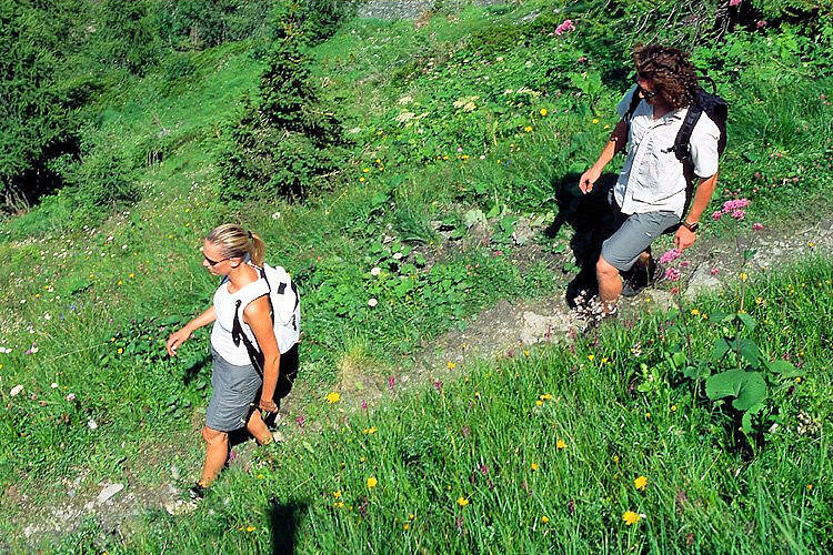 Randonnée - Les Houches