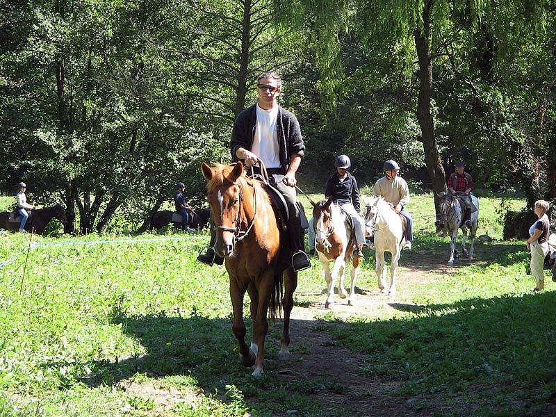 Les Longues Pistes - Ferme équestre