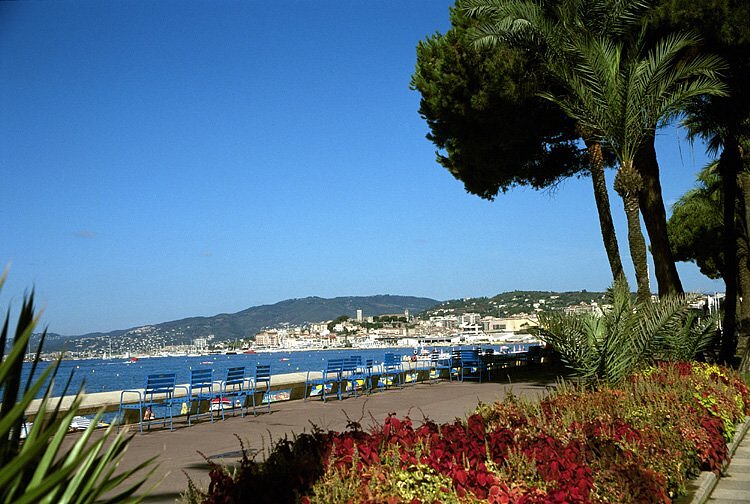Promenade de la Croisette - Cannes