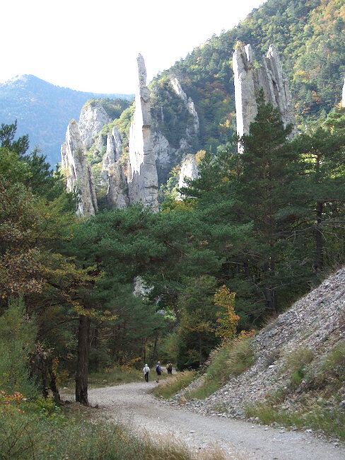 Glandage