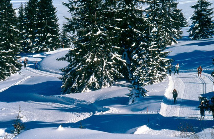Pistes de ski de fond - Les Saisies
